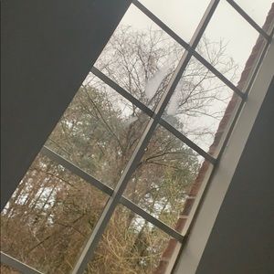 Meet your Posher, Edith